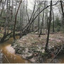 Creekside, Winter, 2008