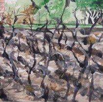 Migrant Workers Preparing to Leave When Sugar Cane Field is Burned and the 