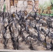 Migrant Workers Preparing to Leave When Sugar Cane Field is Burned and the 