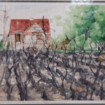 Migrant Workers Preparing to Leave When Sugar Cane Field is Burned and the Cane is Cut