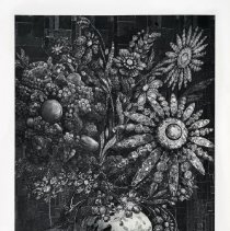 Young Crow Arranging His Collection