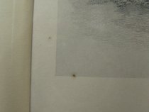 Martha Washington in Her Early Days