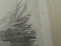 Martha Washington in Her Early Days