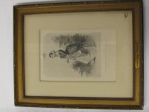 Martha Washington in Her Early Days