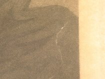 1984.12.047  top right tear