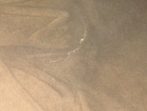 1984.12.047  top right tear