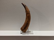 Pre-exhibit display test