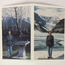 Souvenirs of the Self (Postcard Series) by Jin-me Yoon