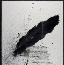 Raven's Tail Feather by Ann Beam