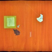 Letters to Home by Dina Torrans