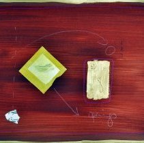 Letters to Home by Dina Torrans