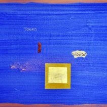 Letters to Home by Dina Torrans