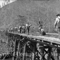 Trestle and bridge construction