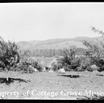 Orchard and house.  Log train in background.