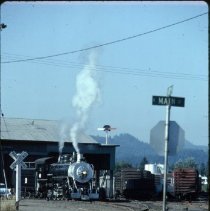 Blue Goose locomotive emerging from train shed