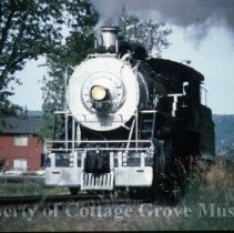 Blue Goose locomotive