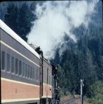 Blue Goose at road crossing