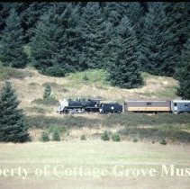 Blue Goose train in transit