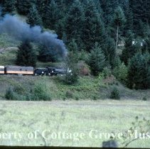 Blue Goose train in transit