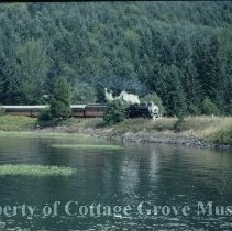 Blue Goose along shore of Dorena Lake