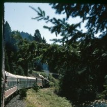 Blue Goose along shore of Dorena Lake