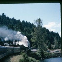 Blue Goose along shore of Dorena Lake at Rat Creek