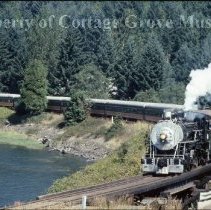 Blue Goose along shore of Dorena Lake at Rat Creek