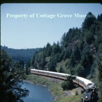 Blue Goose en route along Dorena Lake shoreline