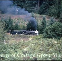 Blue Goosee en route