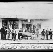 Men and steer on sidewalk in front of Bohemia Saloon