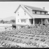 Biedler-Knox house at 2210 E. Main St.