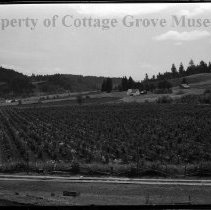 Farmhouse, outbuilding and barn