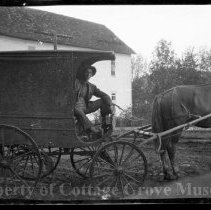 Unidentified man in horse drawn cart