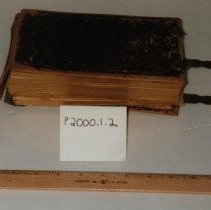 Broomall photograph album containing carte de visites