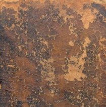 "Collection of Loyal Songs", Vol. II cover