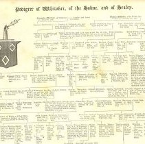 Book, Whitaker of Hesley and Palermo, pedigree chart