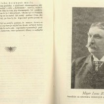 Performance of republican state candidates