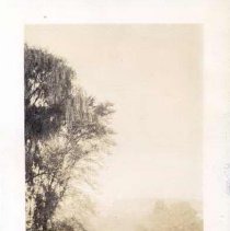 Lawn and meadow at Pennypacker Mills