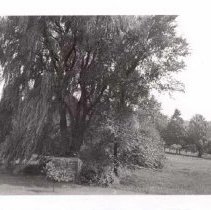 Well cover at Pennypacker Mills