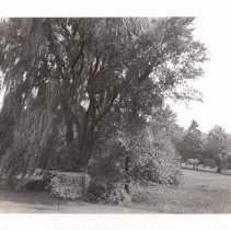 Well cover at Pennypacker Mills