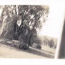 Well cover at Pennypacker Mills