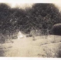 Woman sitting on a bench in a rose garden