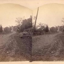 Stereograph of Gateway to Falkner Swamp