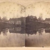 Stereograph of view in Falkner Swamp