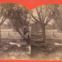 Stereograph of foot bridge over Society Creek