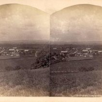 Stereograph of Falkner Swamp from Ante's Heights