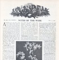 Magazine The Garden