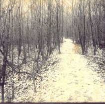 Photograph of Intrenchments at Valley Forge