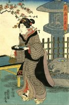 Three Beauties of Blossom Viewing Time