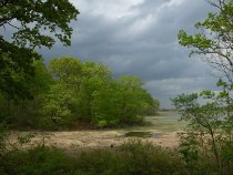Storm Approaching From the Sound